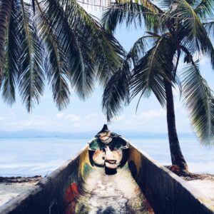 beach-sea-coast-tree-ocean-snow-112374-pxhere.com