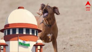 Stray Dogs Euthanasia: পথকুকুরদের নিয়ে বড় নির্দেশ সুপ্রিম কোর্টের, হিংস্র, ক্ষিপ্তদের নিষ্কৃতিমৃত্যুতে অনুমতি, বদলাল না আগের নির্দেশ