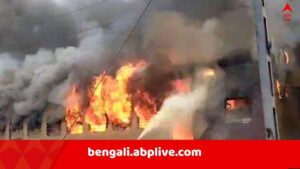 Train Fire: ট্রেনের কামরায় দাউ দাউ আগুন ! তীব্র আতঙ্ক ফাস্ট প্যাসেঞ্জারে, হুড়োহুড়ি যাত্রীদের মধ্য়ে..